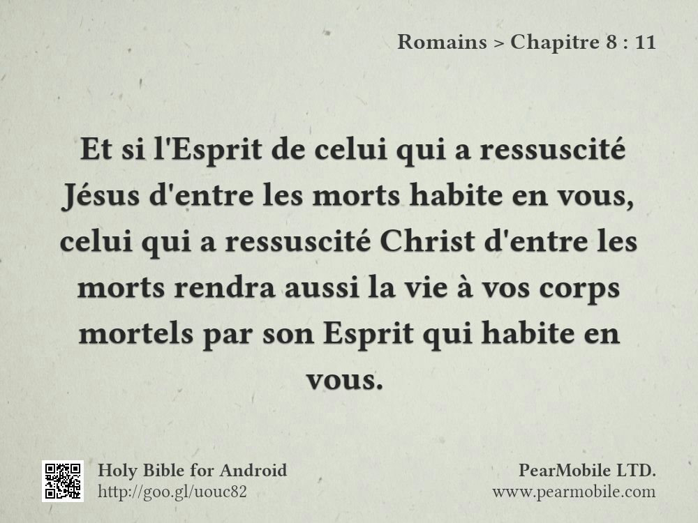 Romains, Chapitre 8:11